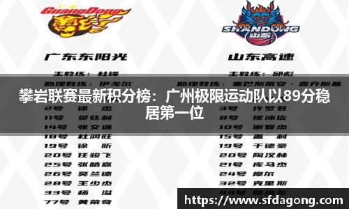 攀岩联赛最新积分榜：广州极限运动队以89分稳居第一位